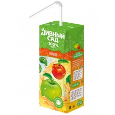 Напиток яблочный сокосодержащий Дивный Сад 0,2л, 27 шт. в уп.